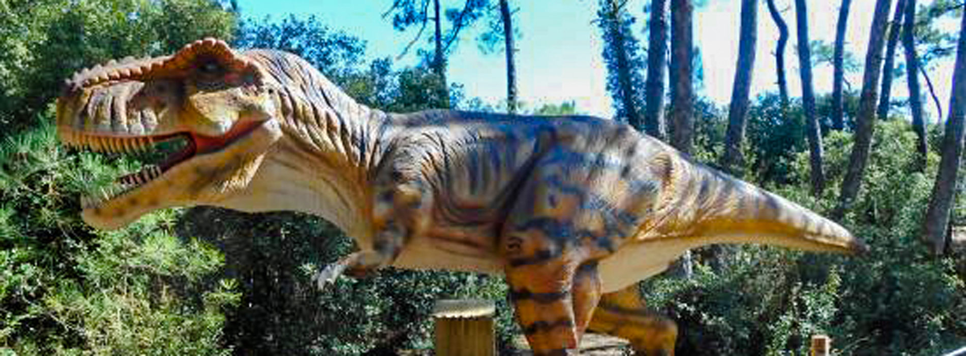 dinos park vendee