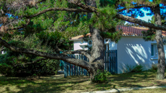 vacances famille saint hilaire de riez