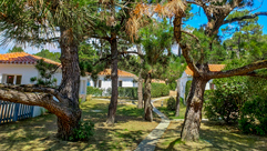 village vacances 4 etoiles vendee