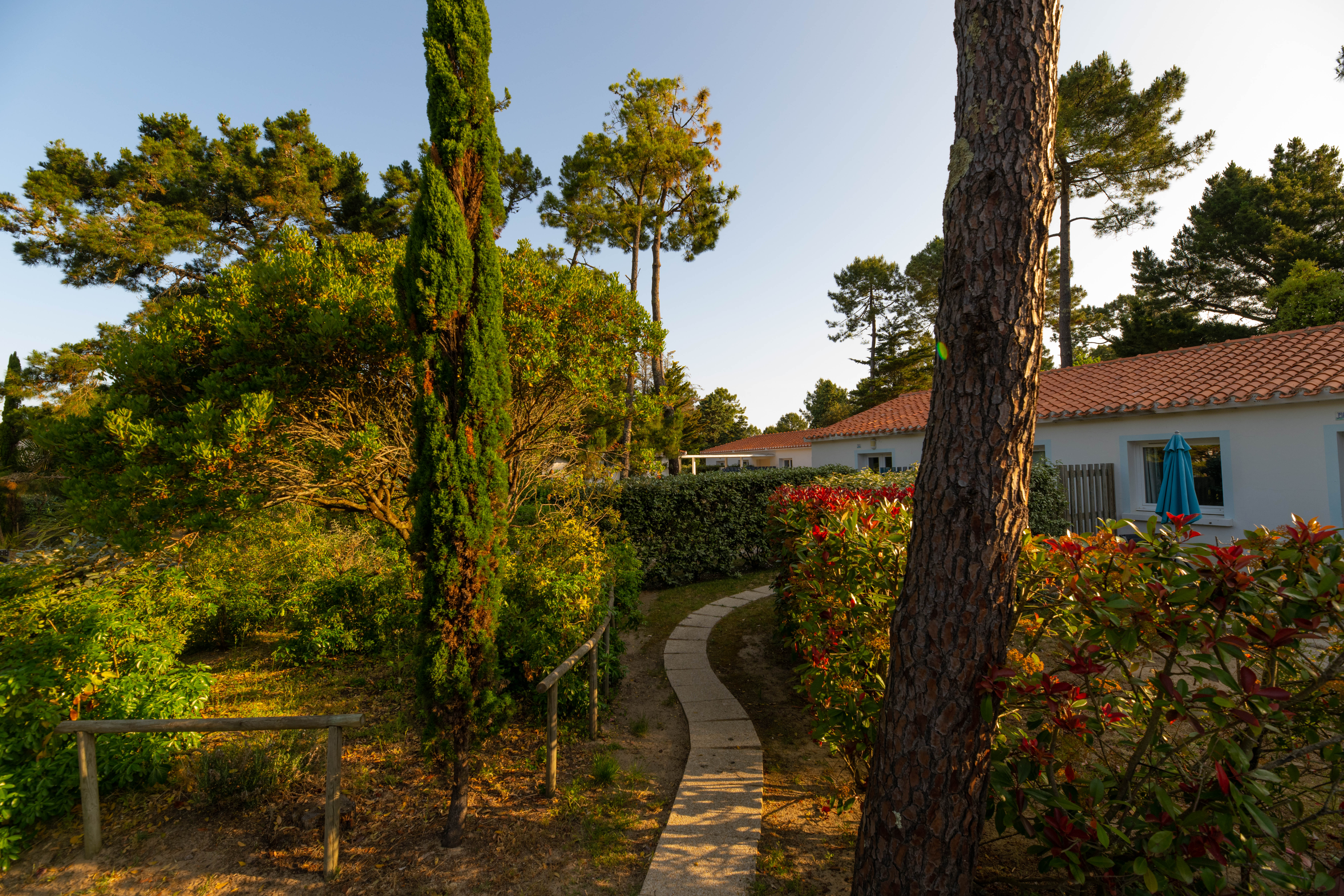 Résidence en bord de mer au calme, au cœur de la pinède vendéenne, découvrez le village familial du Hameau de l'Océan